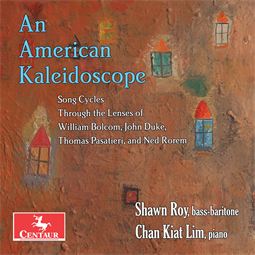 An American Kaleidocope