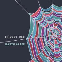 Spider's Web cover image